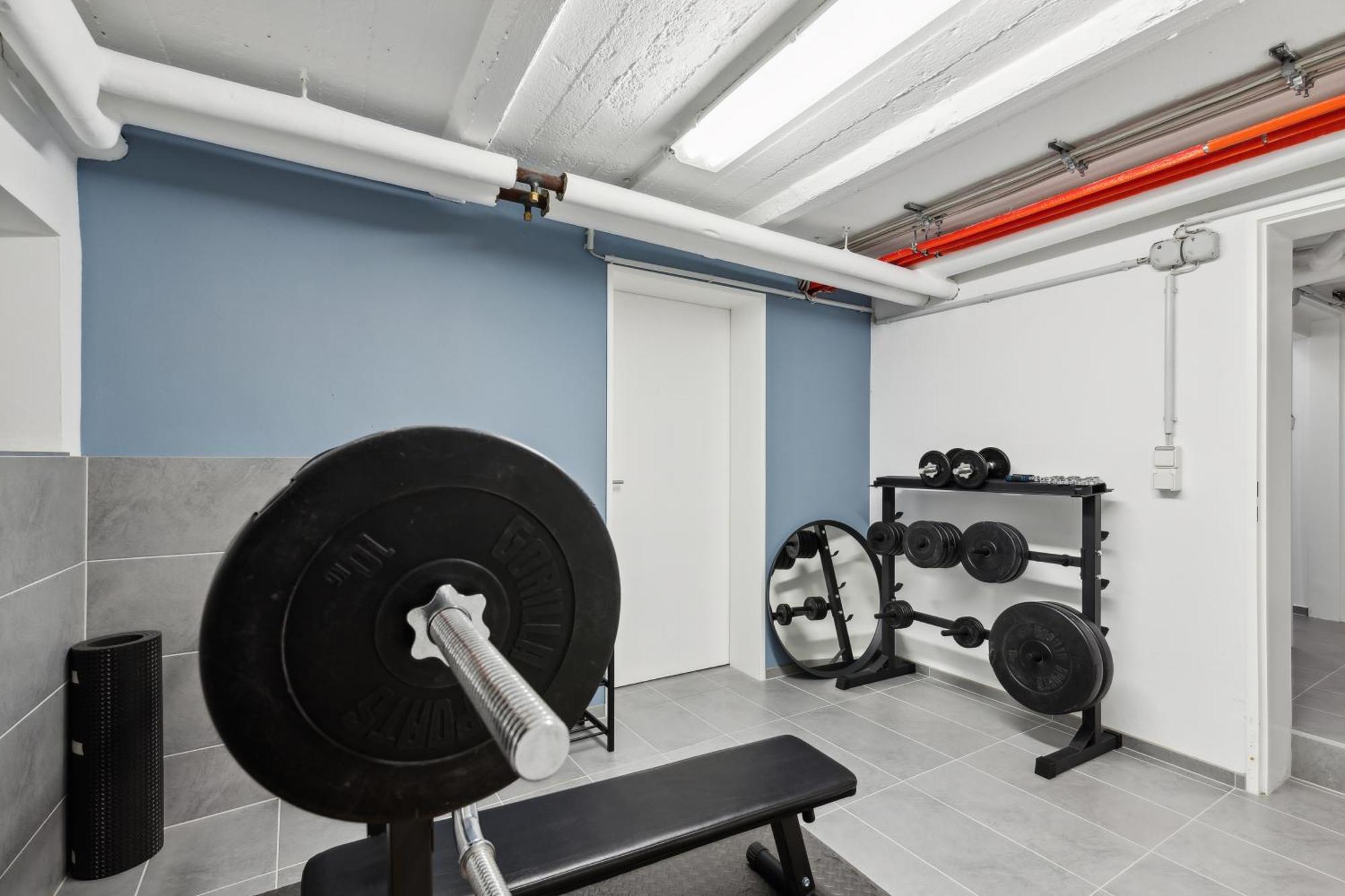 Modern Living - Basf - Ma - Pfalz - 1 Gym 2 Working Spaces Apartament Ludwigshafen am Rhein